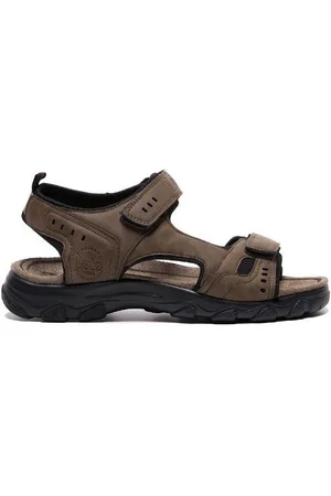Lois Boty 86056
