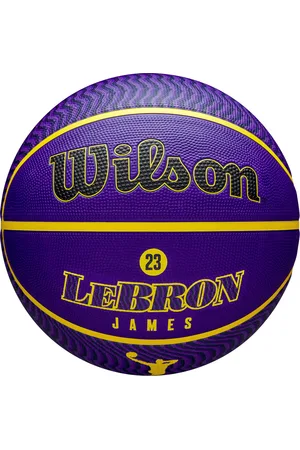 Wilson NBA Player Icon Outdoor Basketball LeBron New Size 7
