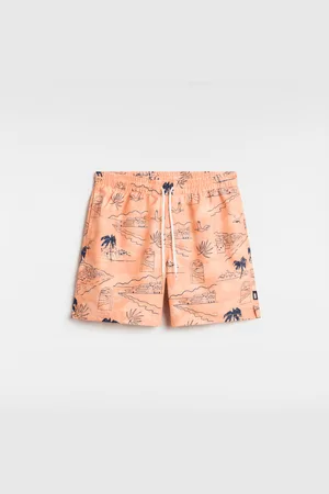 Vans Primary Print Elastic Boardshorts