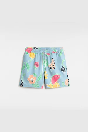 Vans Primary Print Elastic Boardshorts